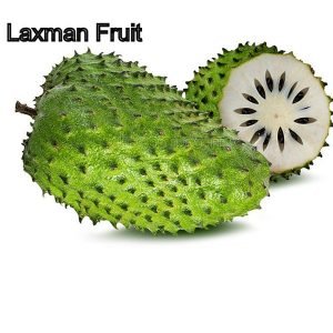 Laxman Fruit